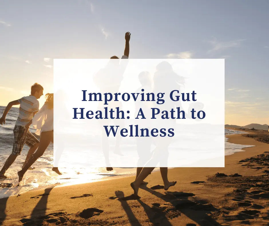 Improving Gut Health: A Path to Wellness Mediterranean Movement
